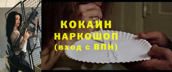 твердый Михайлов