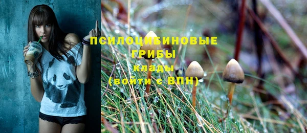 твердый Михайлов