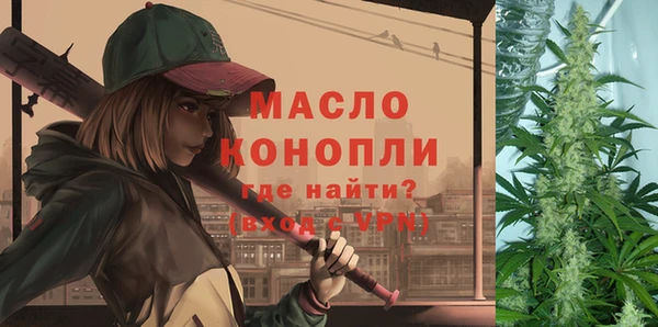 твердый Михайлов