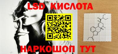 PSILOCYBIN Гатчина
