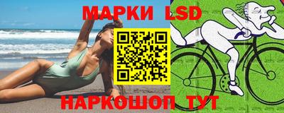 PSILOCYBIN Гатчина