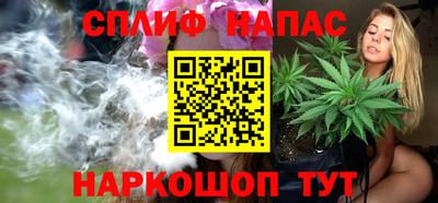 PSILOCYBIN Гатчина