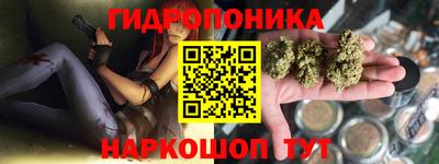 кокс Кандалакша