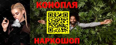 PSILOCYBIN Гатчина