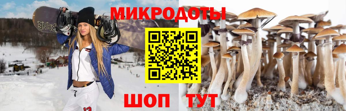 Комсомольск-на-Амуре  Галлюциногенные грибы GOLDEN TEACHER  Вход с VPN 